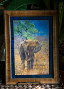 The-Color-Elephant