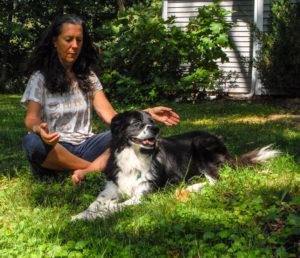 2014-Daisy-Reiki-Flip